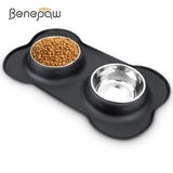 Stainless Steel Double Pet Bowl With Non-Skid Silicone Mat