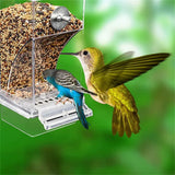 Removable Feeder for Birds