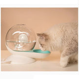 Automatic Cat Water Fountain